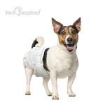 Paw Inspired 32ct Disposable Dog Diapers | Female Dog Diapers Ultra Protection | Diapers for Dogs in Heat, Excitable Urination, or Incontinence (Small) - Image 4