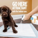 OUT! PetCare Go Here Attractant Indoor and Outdoor Dog Training Spray - House-Training Aid for Puppies and Dogs - 32 oz - Image 5